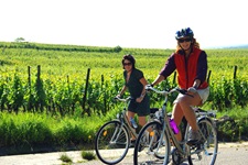 Zwei Radlerinnen fahren an Weinreben im Elsass vorbei